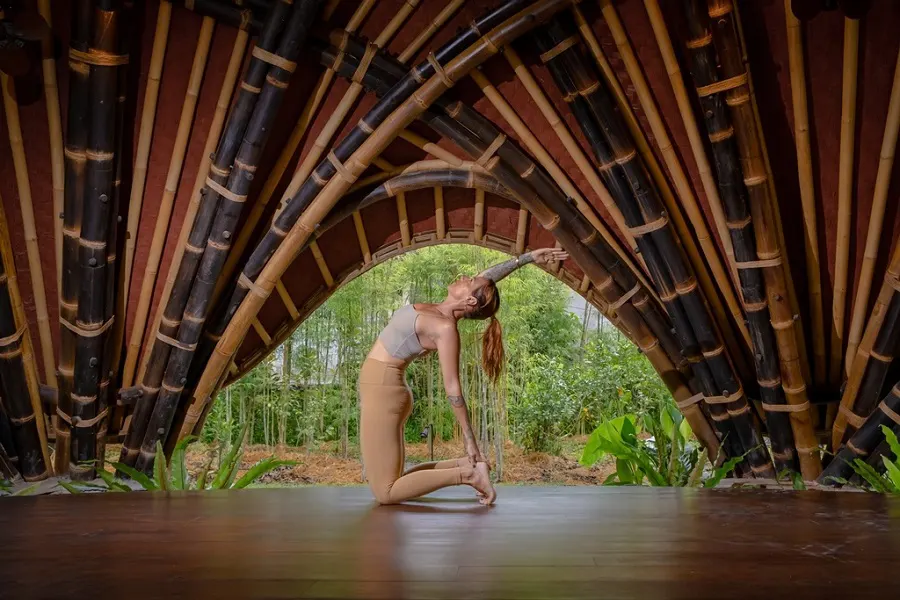 Alchemy Yoga and Meditation Center