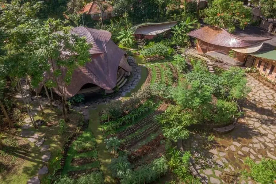 Alchemy Yoga and Meditation Center